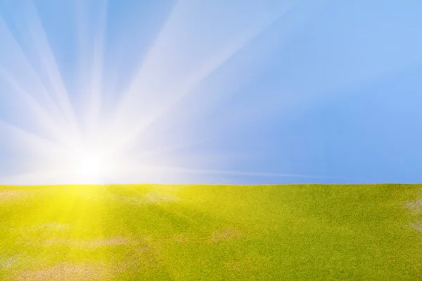 Green field and sun sky — Stock Photo, Image