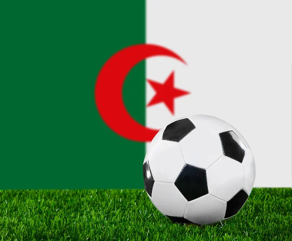 La bandera argelina —  Fotos de Stock