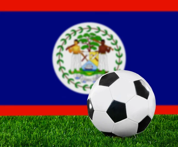 The Belize flag — Stock Photo, Image