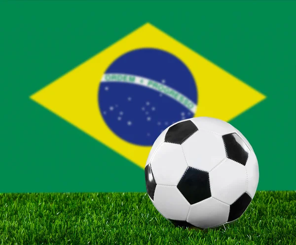 A brazil zászló — Stock Fotó