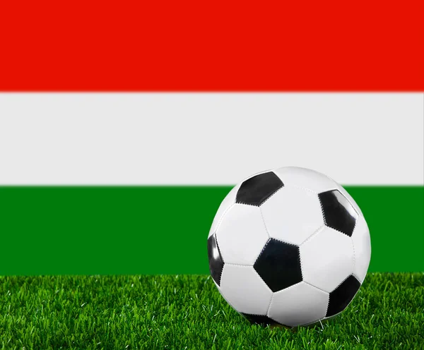 A magyar zászló — Stock Fotó