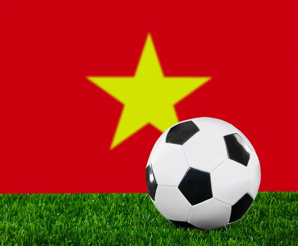 Die vietnamesische Flagge — Stockfoto