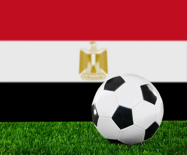 The Egyptian flag — Stock Photo, Image