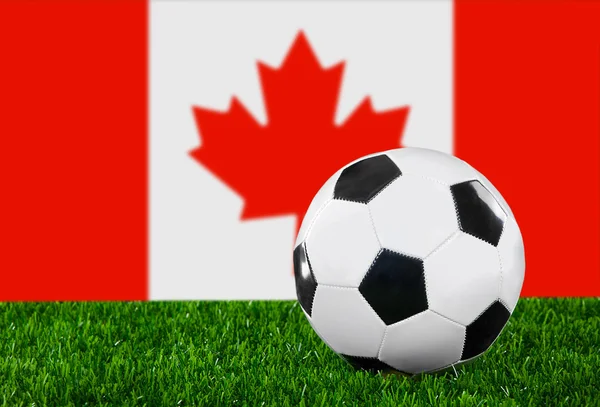 A kanadai zászlót — Stock Fotó