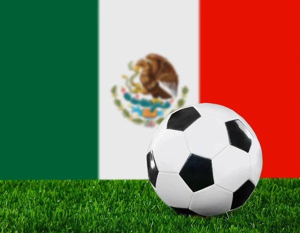 The Mexican flag — Stock Photo, Image