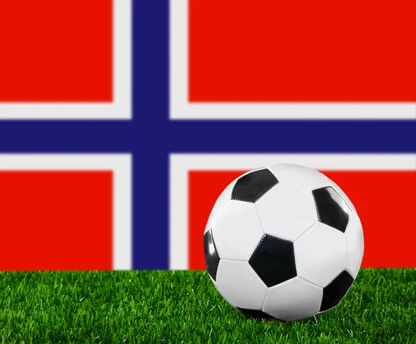 Den norska flaggan — Stockfoto