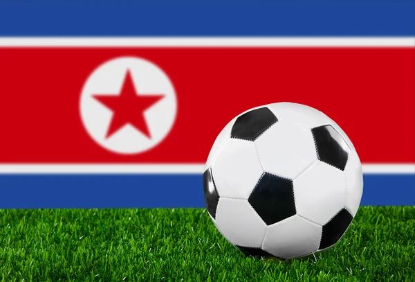 Észak-korea lobogója — Stock Fotó