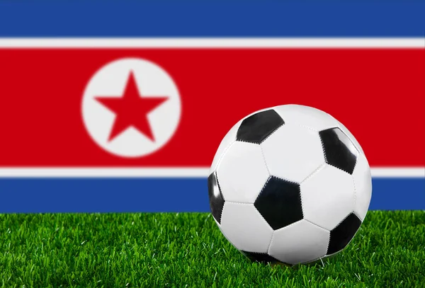 Die nordkoreanische Flagge — Stockfoto