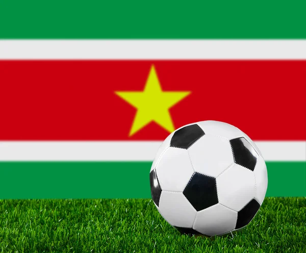 Die surinamesische Flagge — Stockfoto