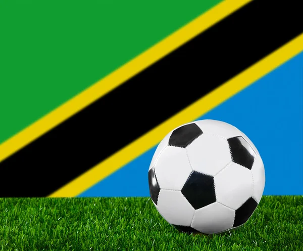 A Tanzánia zászló — Stock Fotó