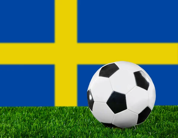 Le drapeau suédois — Photo