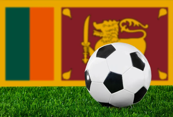 The Sri Lanka flag — Stock Photo, Image