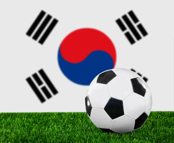 The South Korea flag — Stock Photo, Image