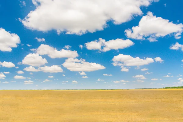 Paisaje Naturaleza. El cielo azul y las nubes . —  Fotos de Stock