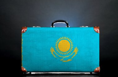 The Kazakh flag clipart