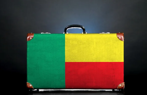 The Benin flag — Stock Photo, Image