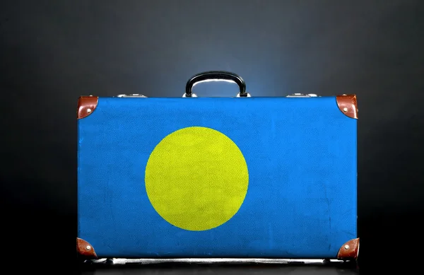 The Palau flag — Stock Photo, Image