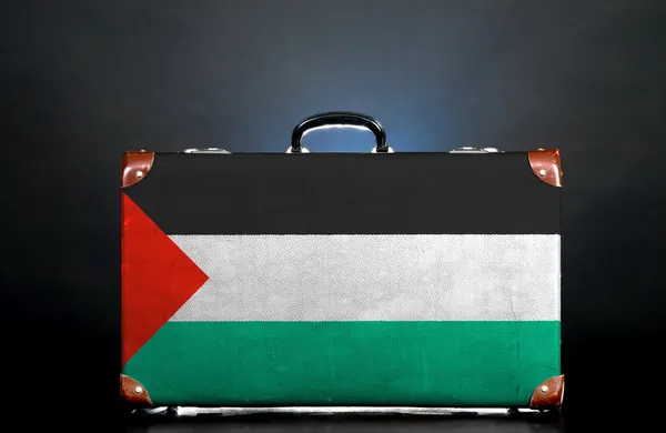 Den palestinska flaggan — Stockfoto