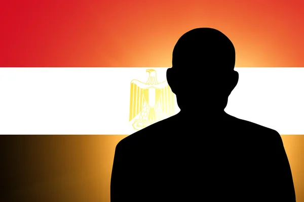 The Egyptian flag — Stock Photo, Image