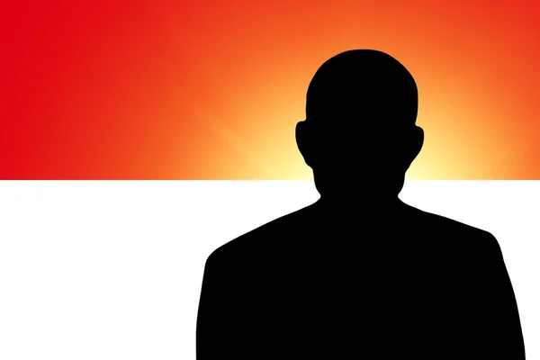 De Indonesische vlag — Stockfoto