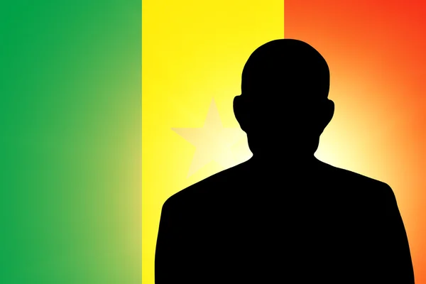 La bandiera senegalese — Foto Stock