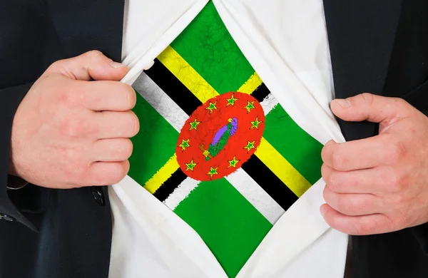 The Dominica flag — Stock Photo, Image