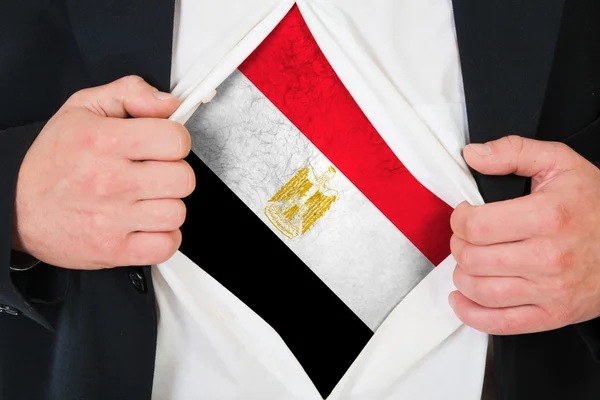 The Egyptian flag — Stock Photo, Image