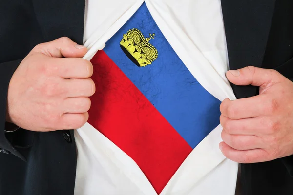 The Liechtenstein flag — Stock Photo, Image