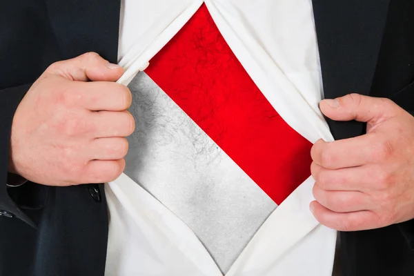 The Monaco flag — Stock Photo, Image