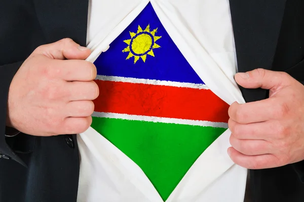 The Namibia flag — Stock Photo, Image