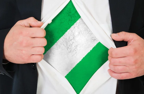 De Nigeriaanse vlag — Stockfoto