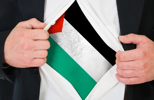 La bandiera palestinese — Foto Stock
