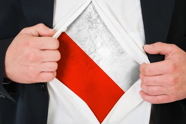 The Polish flag — Stock Photo, Image