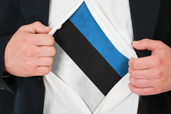 La bandera de Estonia — Foto de Stock