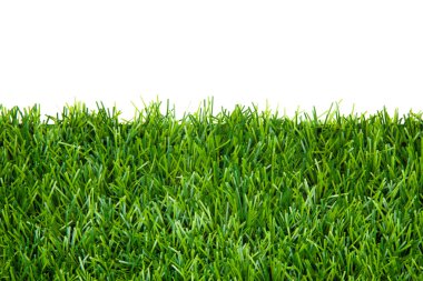 Frame background with green grass isolated clipart