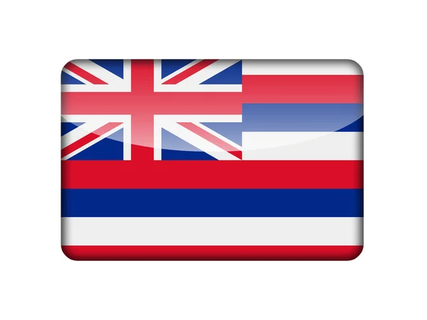 The Hawaii flag — Stock Photo, Image