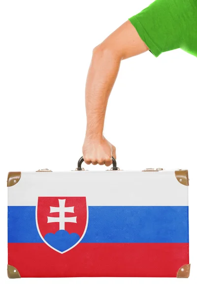 The Slovakia flag — Stock Photo, Image