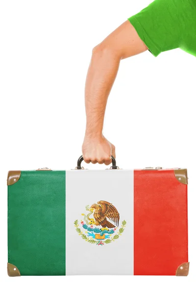 De Mexicaanse vlag — Stockfoto