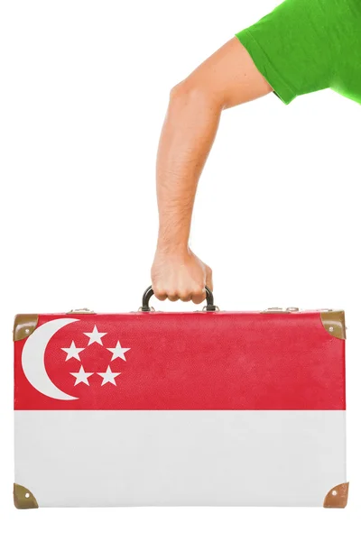 The Singapore flag — Stock Photo, Image