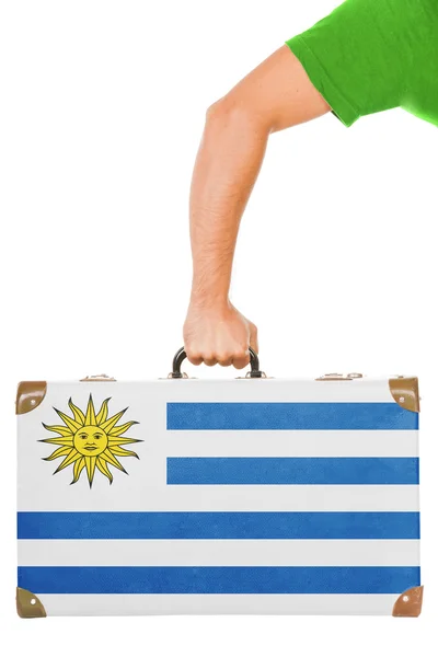 Det uruguayanske flagget – stockfoto