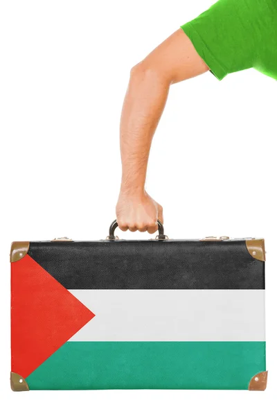 Den palestinska flaggan — Stockfoto