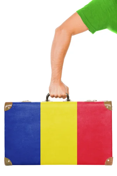 The Romania flag — Stock Photo, Image