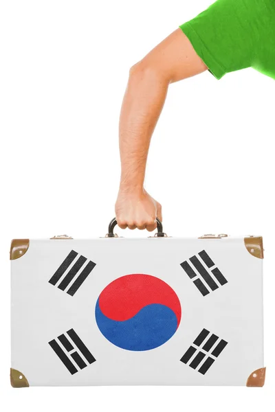 南韩国旗 — 图库照片