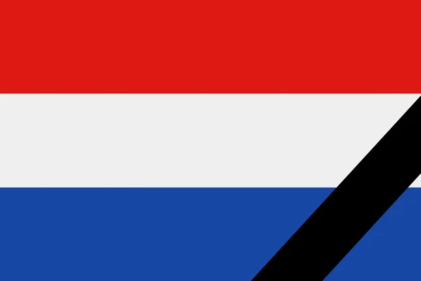 The Netherlands flag — Stock Photo, Image