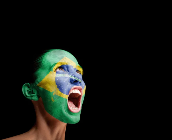 La bandiera brasiliana Immagine Stock