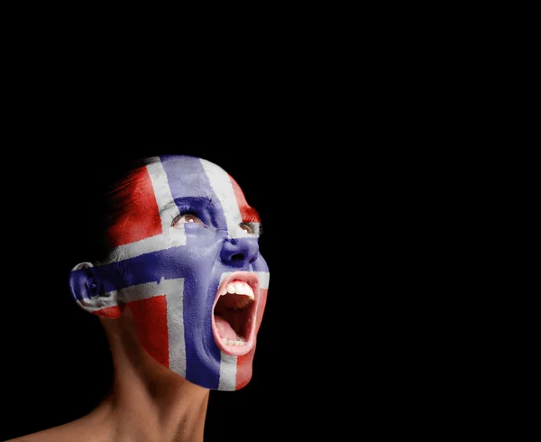 The Norwegian flag — Stock Photo, Image