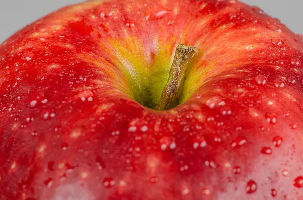 Manzana roja húmeda —  Fotos de Stock