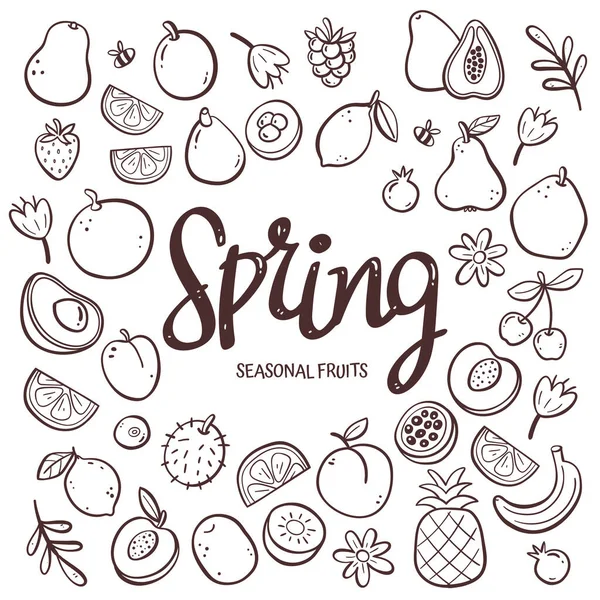 Seasonal Fruits Background Hand Drawn Spring Fruit Composition Made Doodle — Stock Vector