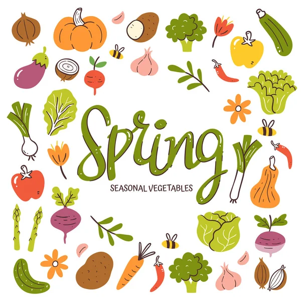 Seasonal Vegetables Background Spring Vegetables Composition Made Colorful Hand Drawn — Stock Vector