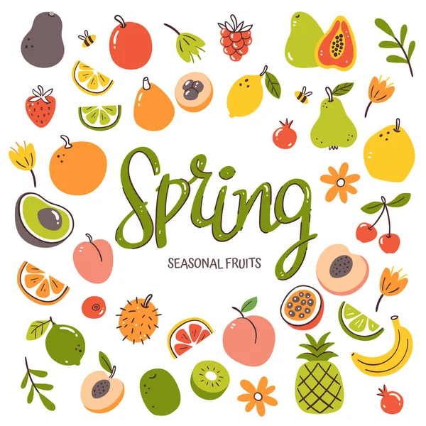 Seasonal Fruits Background Spring Fruit Composition Made Colorful Hand Drawn — Stock Vector